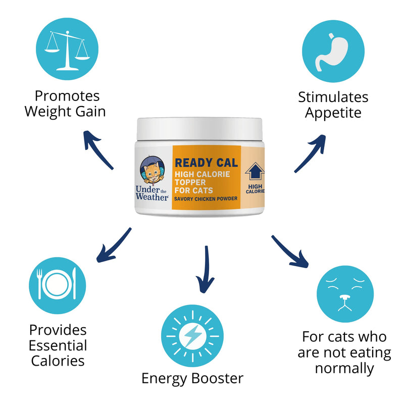 Under the Weather Ready Cal Powder for Cats | High-Calorie, Weight Gainer, Appetite Stimulant, Energy Booster Pet Supplement | 8 Ounces For Cats - Ready Cal Powder
