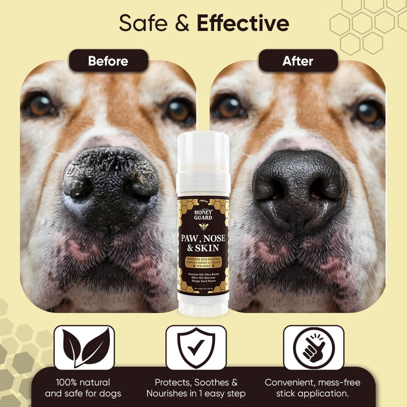 iHeartDogs Honey Guard Paw, Nose & Skin Dog Healing Balm - Manuka Honey, Tallow, Shea Butter & Mango Seed Oil - 2oz - PawsPlanet Australia