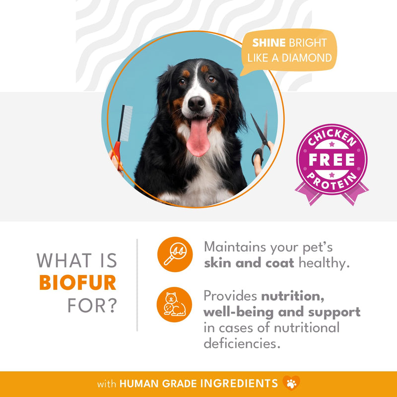 BIOFUR: Omega 3 Supplement for Cats & Dogs - Puppy Essentials & Dog Allergy Relief - Vitamins, Minerals for Feline & Canine Skin, Coat Health, Nutrition, Well-Being, Orange