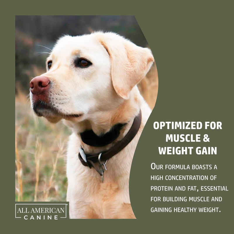 All American Canine Dog Weight Gainer + Digestive Aid Formula, Natural Health Supplement Food Topper, Weight Gain Supplements for Dogs, & Dog Muscle Builder - 60 Servings 60 Servings (1.5 lbs)