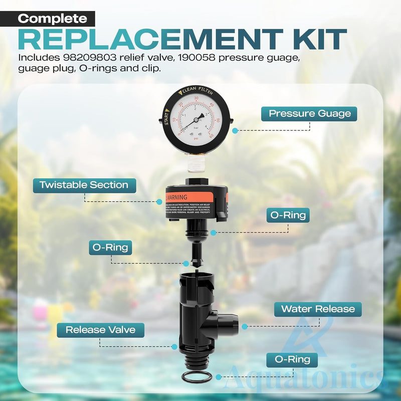 98209800 Includes 98209803 High Flow Air Relief Valve, Pressure Gauge 190058 Replacement for Quad DE, FNS, SMBW2000, 4000 Series – Pre-Installed Teflon Tape – 1-Pack 98209800 - Air Relief & Gauge Replacement