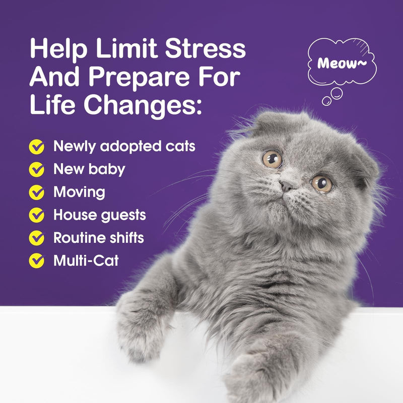 Cat Calming Diffuser Multicat Effective Solution to Stress & Aggression Suitable Cat pheromone Diffuser for Cats Refill Reduce Fighting Spraying and Scratching Calm Relaxing 2 FL OZ(Pack of 2)