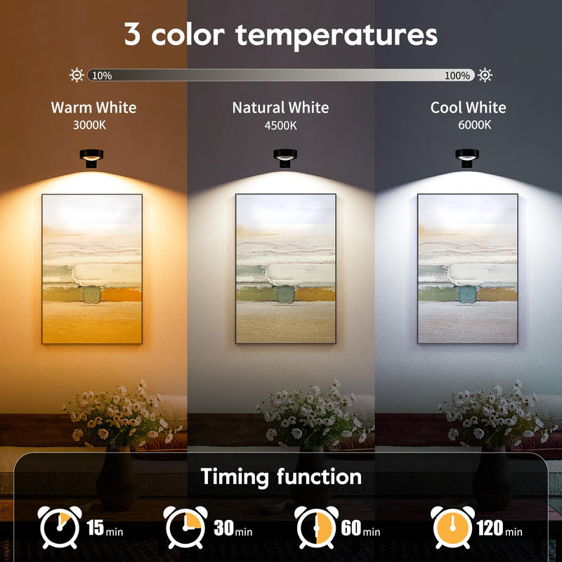 Brightown 2-Pack Picture Lights for Wall, Magnetic Art Display Picture Lights with Remote, 3 Lighting Modes Battery Operated Picture Light, Dimmable & Timer Art Wall Lights for Pictures, Black 2PACK
