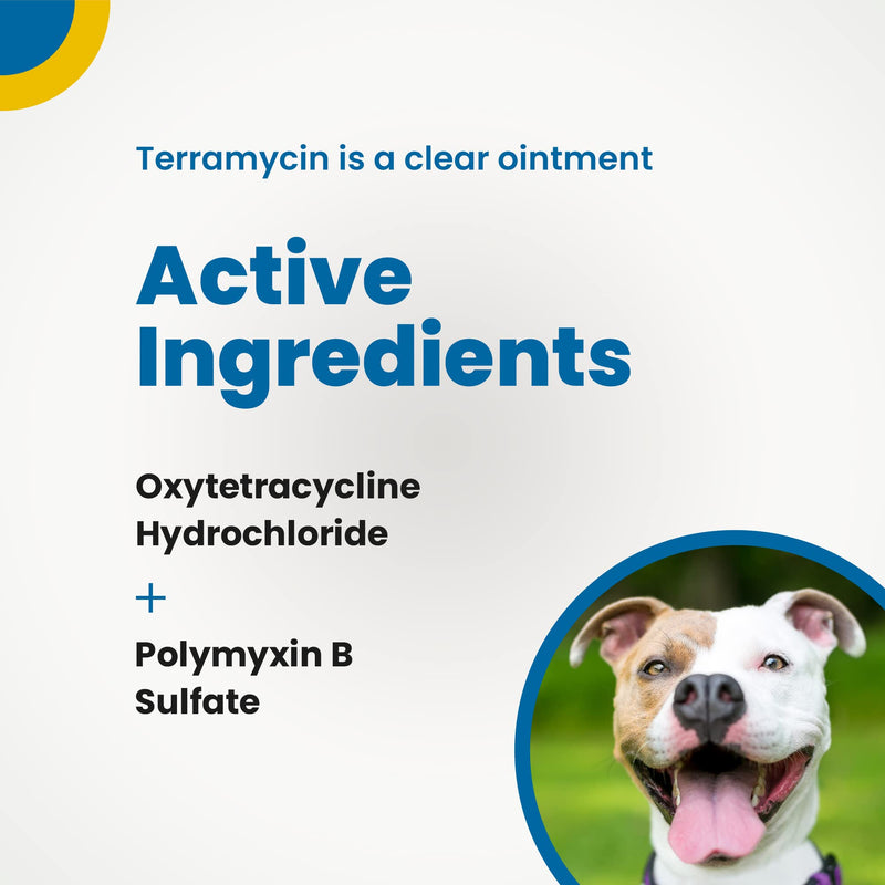 Terramycin Antibiotic Ointment for Eye Infection Treatment in Dogs, Cats, Cattle, Horses, and Sheep, 0.125oz Tube - PawsPlanet Australia