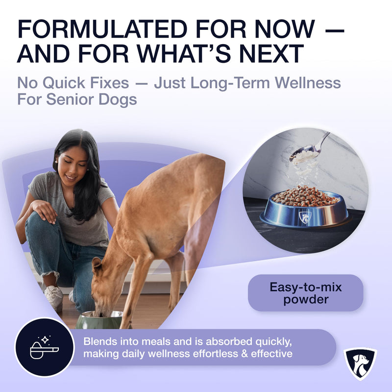 NutraRegen Dog Immune Support Supplement Powder 30 Scoops | Beef Flavored Powder with Turkey Tail Mushroom for Dogs| 30 Scoops Beef Flavor | 1.9 Oz