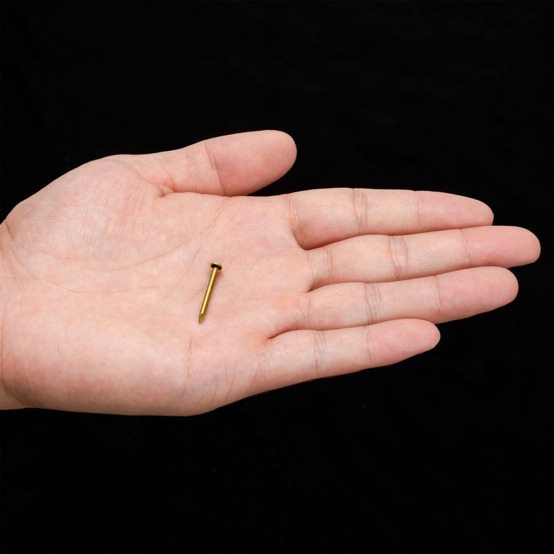 Hardware Philosophy Pure Brass Nails, 0.8 Inch, Bag of 100 - Architectural, Interior Design, Doors, Furniture Cabinet Customization Hardware (Pack of 2) 0.8" (Pack of 2)