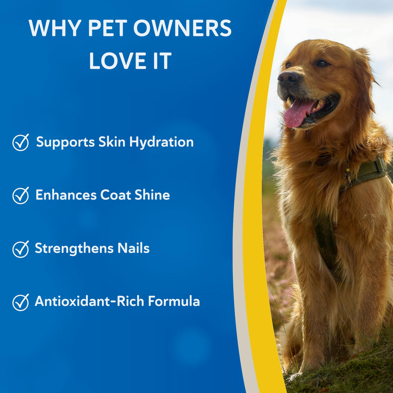 Doc Roy’s Derma Coat Plus Supplement for Dogs, Supports Healthy Skin, Coat & Nails, with Omega 3-6-9 Fatty Acids, Biotin & Antioxidants, 60 Count for Medium & Large Dogs 60ct Medium & Large Dogs