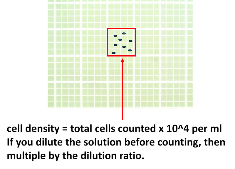 Improved Neubauer Hemocytometer, Cell Counting Chamber with Bright Line and Two Cover Glasses.