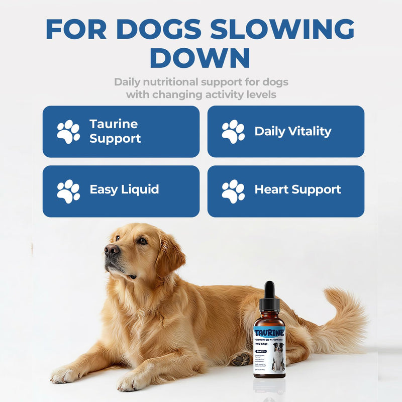 Taurine Supplement for Dogs Liquid Drops with Coenzyme Q10 & L-Carnitine – Supports Heart, Energy & Daily Activity – Easy to Add to Food, 60 ml 60 ml (Pack of 1)