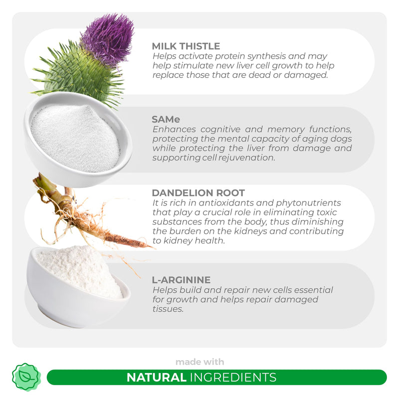 Immunity + Liver and Kidney Support for Cats - with Milk Thistle, Same, L-Arginine & Turmeric, and Dandelion Root for Detox. - PawsPlanet Australia