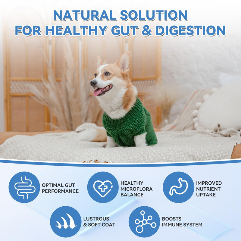 WEALLIN Dog Vitamins & Dog Probiotic Chews