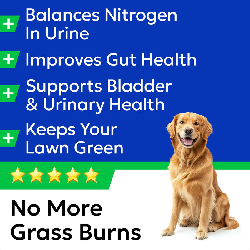 BARK&SPARK Green Grass Chews - Pee Grass Spot Saver Caused by Dog Urine - Urine Neutralizer for Lawn, Gut Health Probiotics & Digestive Enzymes,Lawn Burn from Dog Urine, Grass Burn Spot Chews (240Ct) 240Ct (Chicken)