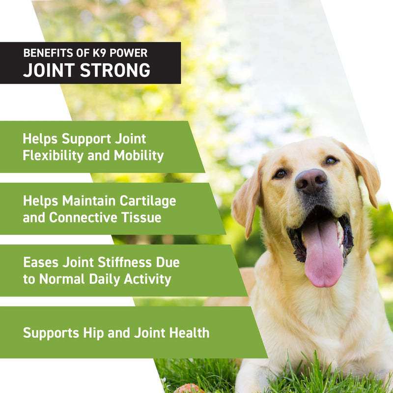 K9Power Joint Strong – Dog Joint Supplement for Mobility, Pain & Inflammation Relief – Glucosamine, Chondroitin, Collagen, Curcumin, Omega 3s, CMO, Green Tea – Ideal for Arthritis & Joint Protection Hip & Joint 1 lb (Pack of 1)