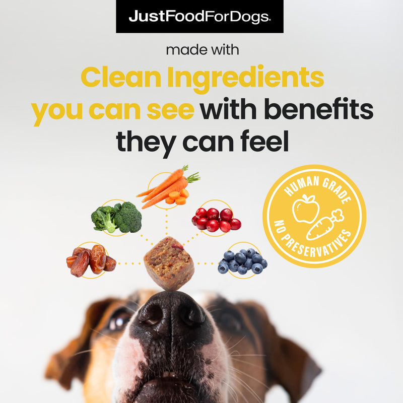 JustFoodForDogs Hip and Joint Supplement for Dogs, Human Grade Glucosamine Chondroitin Dog Supplements, Multivitamin Soft Chews, Omega 3 Oil, Superfood Blend, Plant Based Dog Vitamins - 45 Count Hip + Joint Care