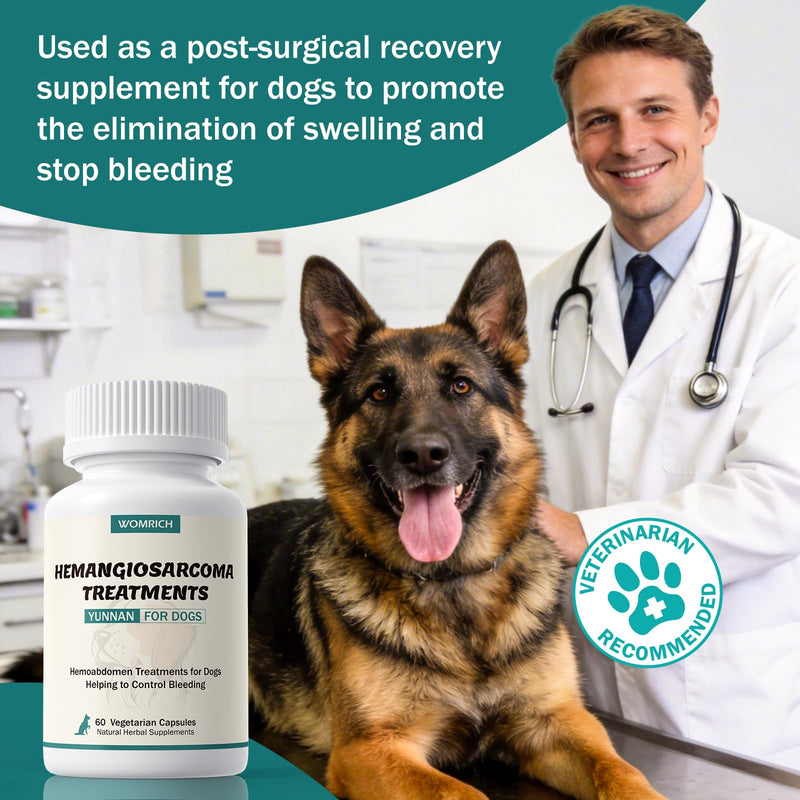 Yunnan Sanqi Capsules for Dogs, Natural Therapy for Hemangiosarcoma, Hemoabdomen, Pericardial Effusion, Cancer Bleeding, Nose Bleed, Bloody Stools, Extends Your Dog’s Lifespan