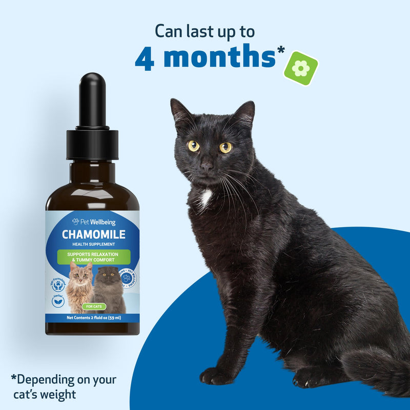 Pet Wellbeing Chamomile for Cats - Organic Single Herb Supplement - Gentle Digestive Support, Holistic Calming - Pure Chamomile Extract - Vet-Formulated Liquid Wellness 2 oz (59ml)
