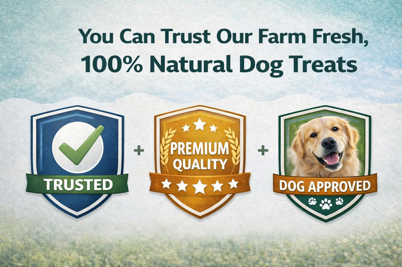 Natural Cow Tails for Dogs 8-10 Inch Long-Lasting Chew Sticks | Pack of 10 | Single-Ingredient, High-Protein Dog Treats | Grain-Free & Rawhide-Free | Best for Medium & Large Breed