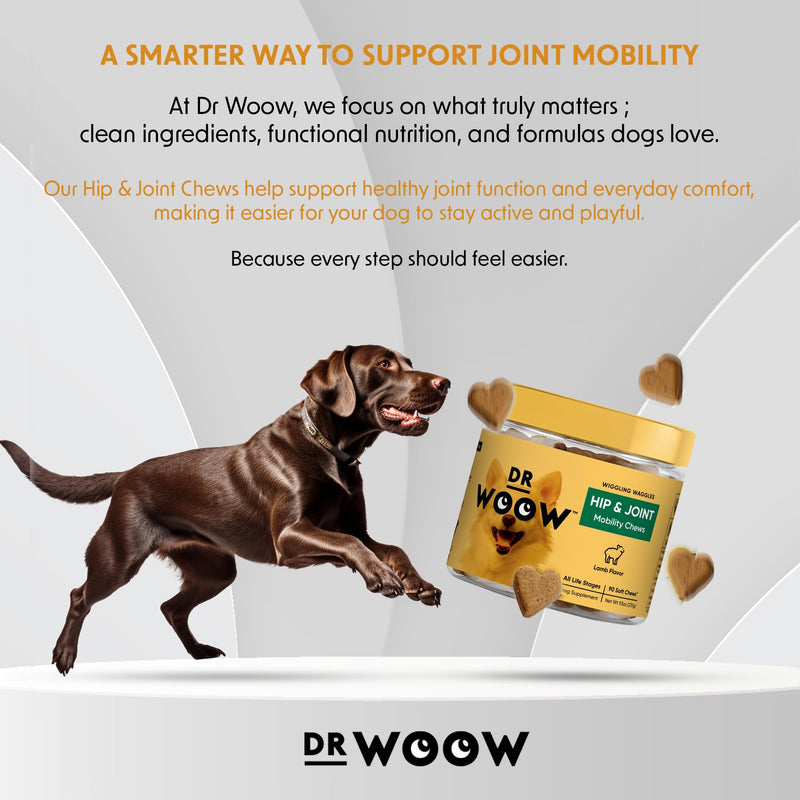 Hip & Joint Supplements for Dogs Soft Chews (90 CT) – Mobility Support + Joint Comfort & Flexibility – Glucosamine + MSM – Made in USA Hip and Joint Support