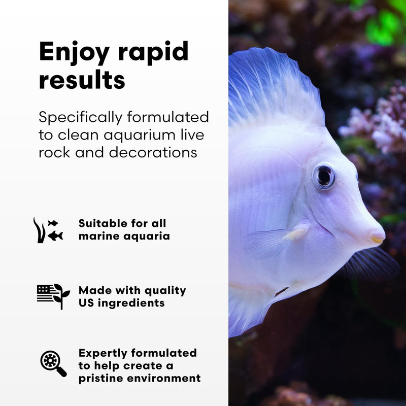 Brightwell Aquatics MicroBacter Clean - Microbial Culture & Enzyme Blend Fish Tank Cleaner - Cleans Live Rock Surfaces for Saltwater Fish Habitats - Aquarium Water Treatments, 8.45 fl oz 250-ml