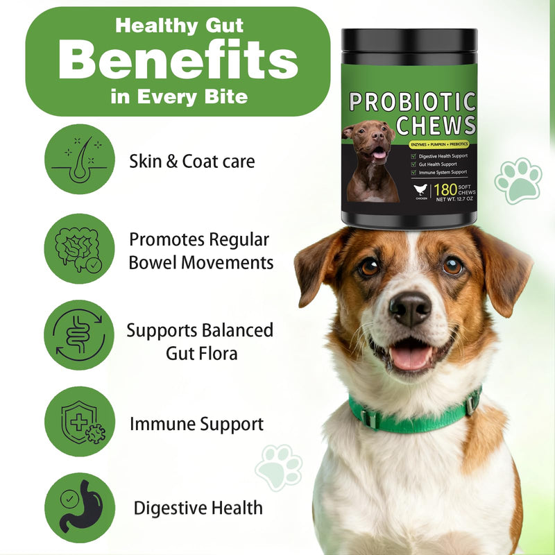 Probiotics for Dogs - 180 Dog Probiotics Chews with 5 Enzymes & 4 Prebiotics for Digestive and Gut Health - Diarrhea & Bowel Support, Yeast Balance, Immunity, Allergies & Itchy Skin (Chicken) Chicken