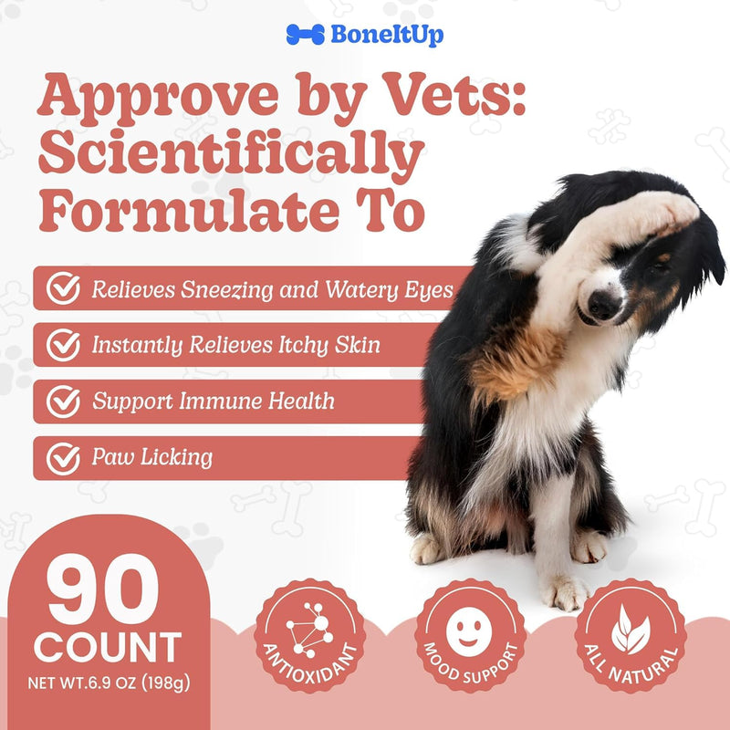 BoneItUp Healthy Treat Baking Mix & Soft Allergy Chews Bundle – Low Calorie Snacks & Daily Allergy Relief for Dogs