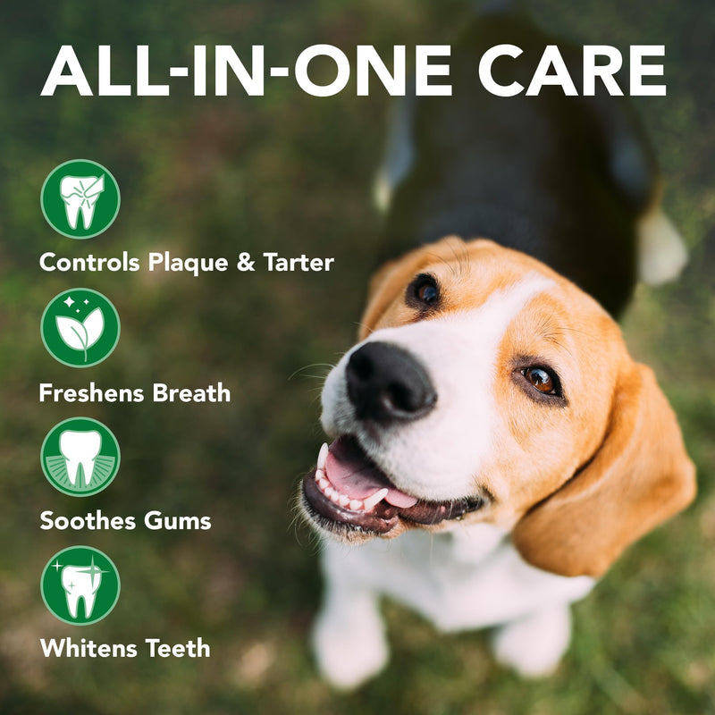 Vet's Best Enzymatic Dog Toothpaste - Teeth Cleaning and Fresh Breath Dental Care Gel - Vet Formulated - 3.5 oz Tubes (12 Pack)