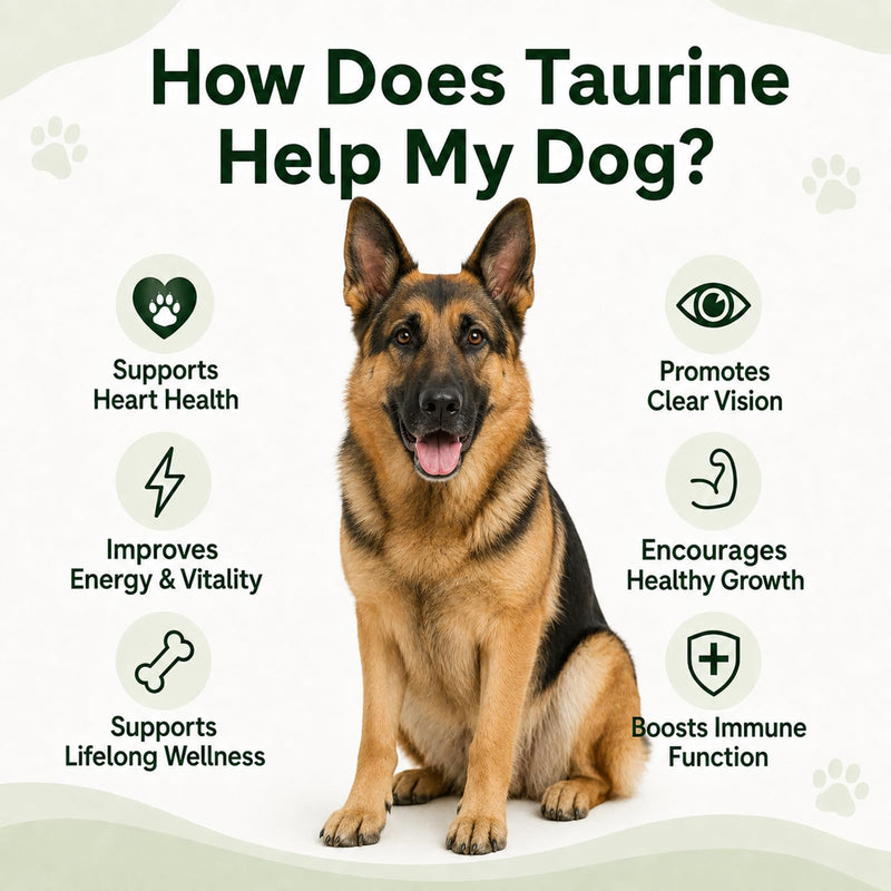 Taurine Powder for Dogs, Pure Taurine Supplement for Heart Health, Vision Support & Energy Metabolism, Promotes Immune System and Skin & Coat Health, Easy to Mix Daily Dog Supplement, 200g / 7.05 oz