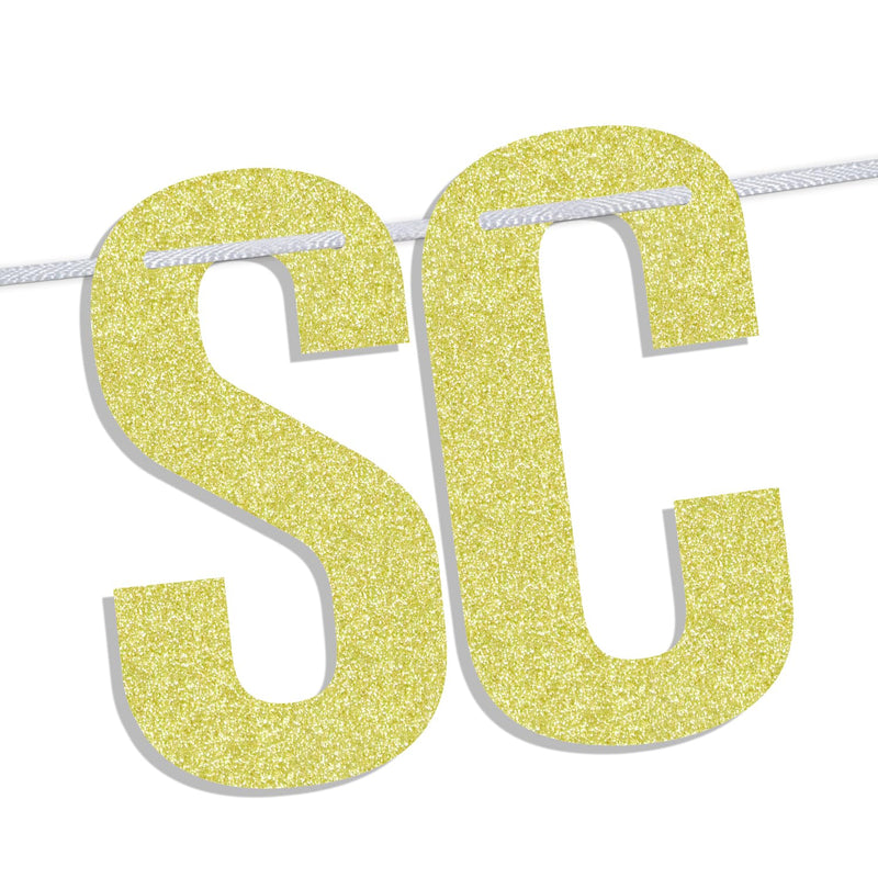Dental School Survivor Banner, Future Dentist, Congrats RDH, Dental School Graduation Party Decorations