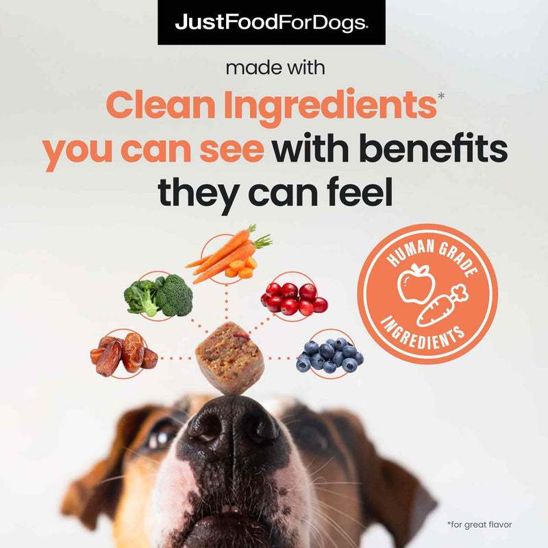 JustFoodForDogs 10-in-1 Supplement for Dogs, Human Grade Dog Supplements, Multivitamin Soft Chews, Immune, Skin and Joint Support, Omega 3 Oil, Superfood Blend, Plant Based Dog Vitamins - 45 Count 10-in-1 Bite