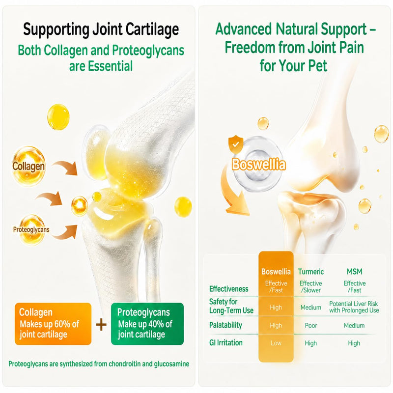 Hip & Joint Supplement for Dogs & Cats - Bioactive Collagen,Glucosamine, Chondroitin & NZ Green Lipped Mussel - 120 Capsules for Joint, Bone, Ligament, Paw & Spinal Health