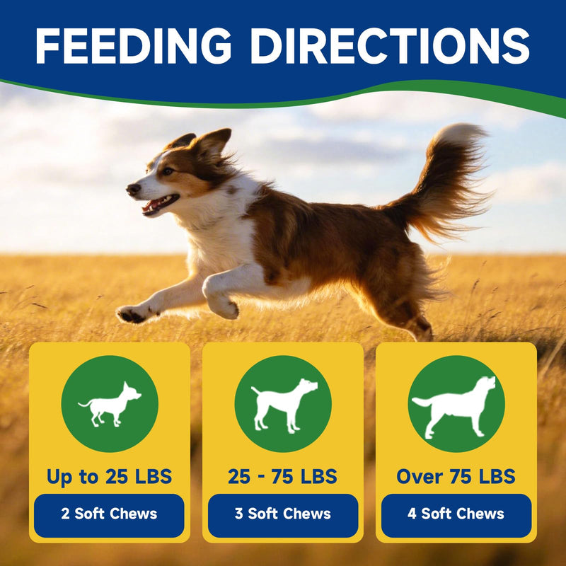 NAD+ Soft Chews for Dogs & Taurine Supplement for Cats - for Dogs Energy & Vitality, Anti-Aging, Cognitive Function - for Cat Heart Health, Cardiac Function Support - Cat Taurine Drops with L-Carnitin