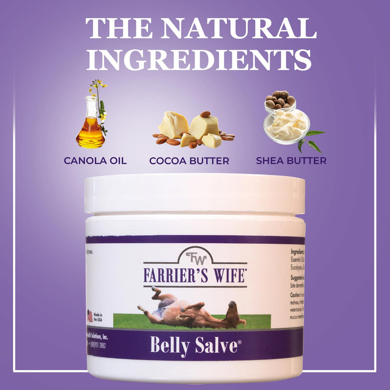 Farrier’s Wife Belly Salve-Natural Soothing Salve for Horses| Helps Fly Bite Dermatitis| Promotes Hair Growth| Belly Balm| Horse Sweet Itch Ointment - PawsPlanet Australia