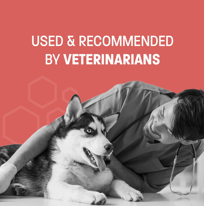 Scoot Stop-Pro Soft Chews for Dogs - Anal Gland Support - Dog Fiber for Dogs Pumpkin for Dogs Digestion - Supports Healthy Anal Sac - No Scoot Constipation Relief for Dogs - 120 ct