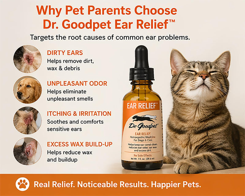 Dr. Goodpet Ear Health Formula for Dogs & Cats | All-Natural Ear Cleanser | Soothes Itches and Cleans Ear Canal | Drops for Irritation & Waxy Buildup | 1 fl oz Bottle w/Dropper