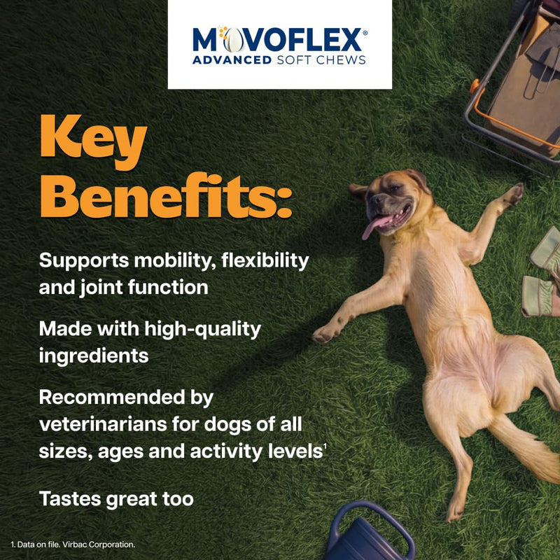MOVOFLEX Advanced Soft Chews Hip and Joint Support Supplement for Small Dogs - 60 Count by Virbac Small Dog 1 Pack (60 count)