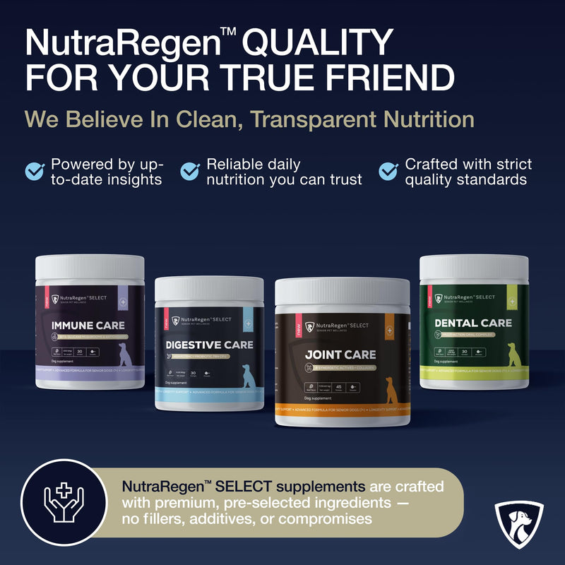 Nutraregen Digestive Dog Probiotic Powder 30 Scoops | Beef Flavored Dog Probiotics for Digestive Health, Supports Gut Health, Scratching, Itchy & Dry Skin, Allergies 2.1 Oz | 7 Bn CFU