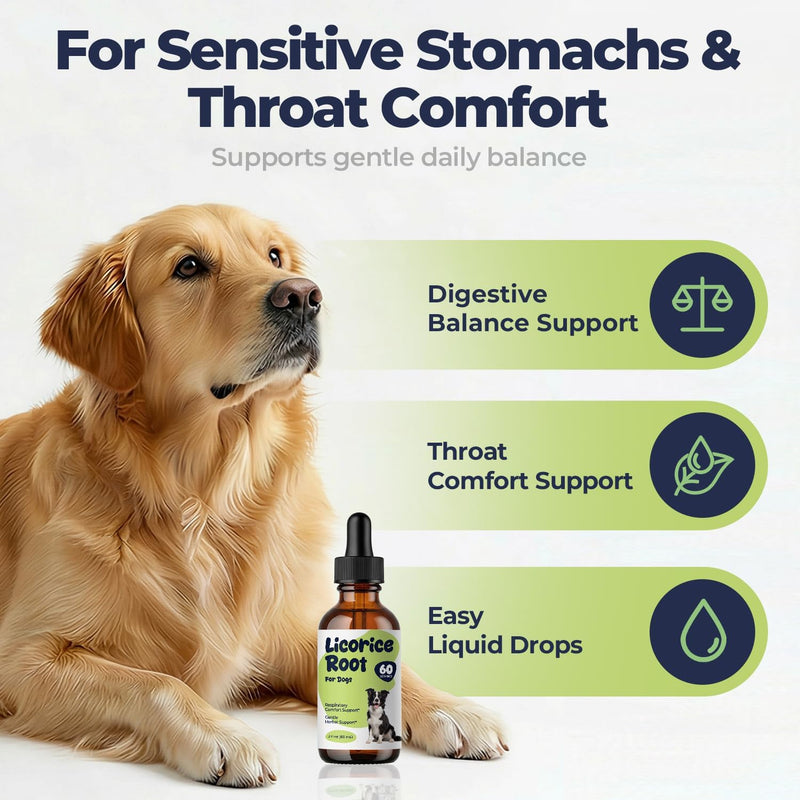 Licorice Root Tincture for Dogs - Respiratory Health Supplements - Lung Support Drops for Pets - Liquid Dog Vitamins and Supplements for Lung Detox & Cleanse - No Preservatives - 2 oz - NewNest Australia