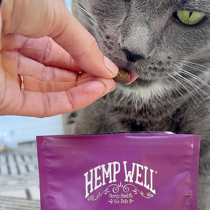 Hemp Well Cat Hairball Soft Chews for Cats, Hairball Control & Digestive Support, Organic Hemp Seed Powder, Pumpkin Seed & Psyllium Fiber, Skin & Coat Support, Chicken Cheese & Catnip Flavor, 60 Ct 2.11 Ounce (Pack of 1)