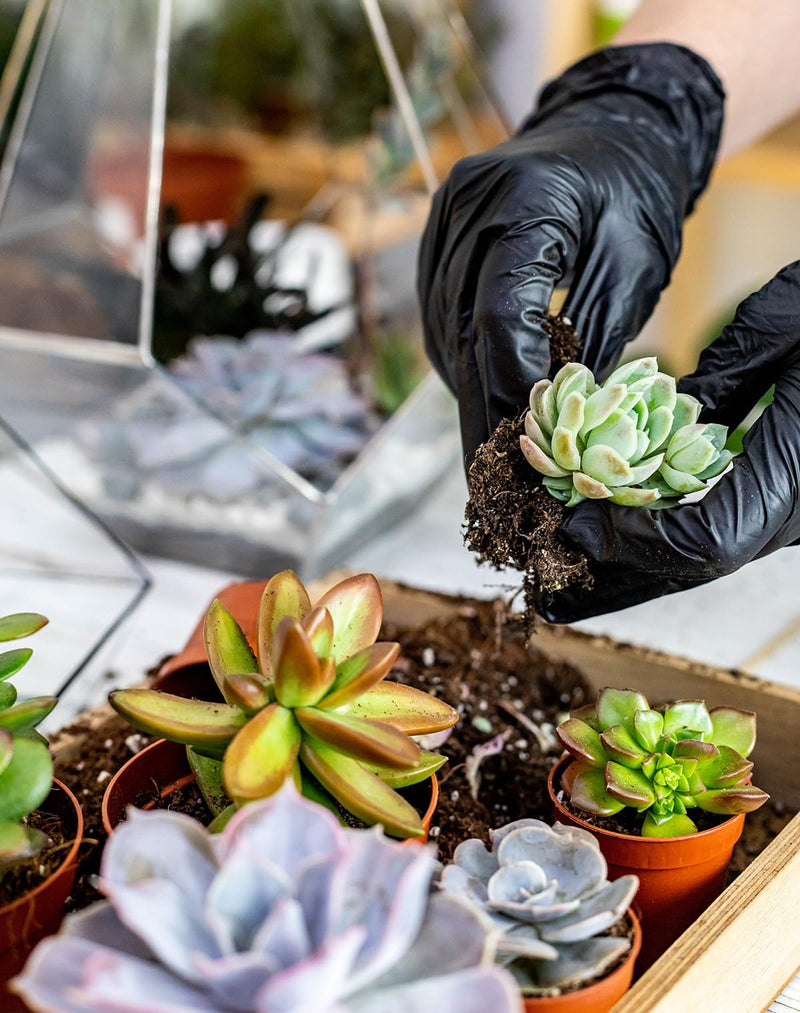 Melphoe 25Pcs Mini Garden Hand Transplanting Succulent Tools Set, 39.4" Thickened Repotting Mat & Plant Tag, Miniature Planting Indoor Fairy Care, Potting, Cactus, Houseplant Bonsai Tool Kit (Black) Black