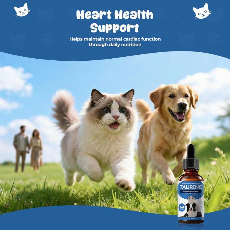 Taurine Supplement for Dogs & Cats, Pet Amino Acid Supplement for Heart Function, Muscle & Metabolic Support, Daily Nutrition for Pets, Liquid Taurine Drops, 2 fl oz (60 mL)