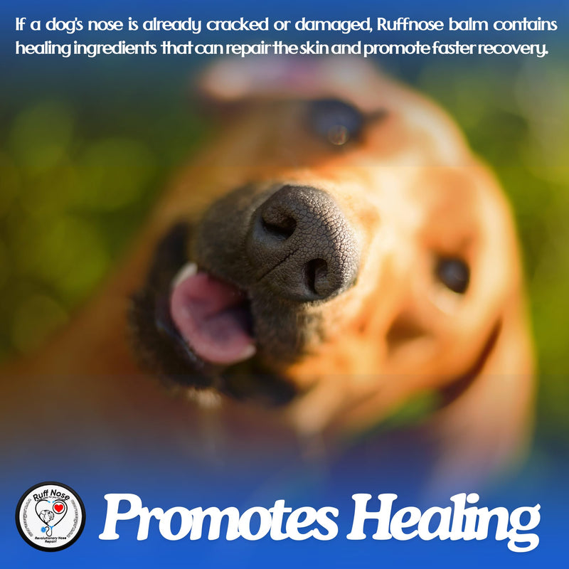 RuffNose Dog Nose Butter/Balm 1 Oz - All-Natural Snout Soother with Organic Oils, Butters & Beeswax - Relief for Dry, Cracked, Chapped Noses - Safe for Licking, Made in USA 1 Oz. - PawsPlanet Australia
