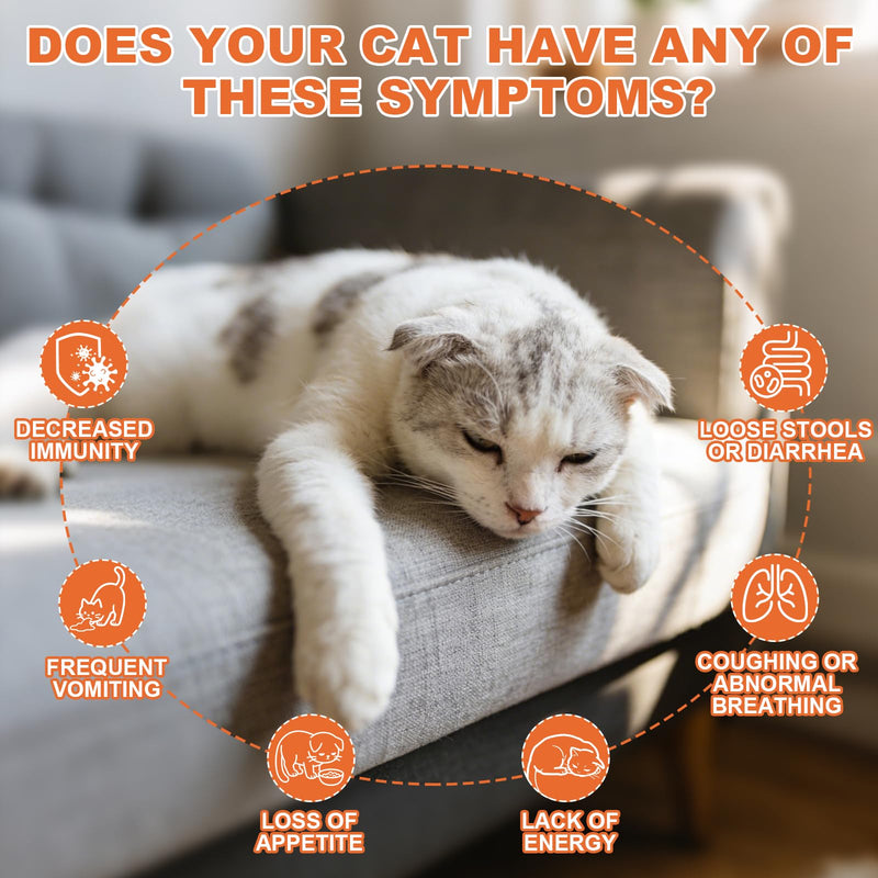 lvermect Liquid Dewomax for Cats, Daily Digestive Balance Support, Helps Maintain Digestive Comfort & Internal Balance, for Kittens & Adult Cats, Easy-to-Administer Drops, 100mL