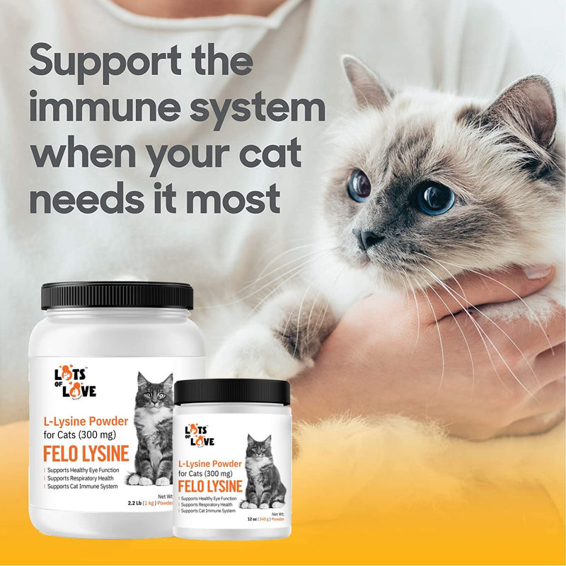 FELO LYSINE - L-Lysine Powder for Cats 300 mg (Thomas Pet Earlier), 12 oz 12 oz (340 g) Powder - PawsPlanet Australia