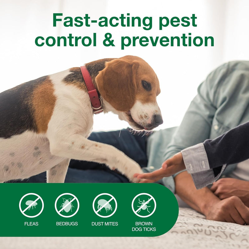 Bundle of Advantage II Vet-Recommended Flea Treatment & Prevention | Cats 5-9 lbs. + Advantage Household Spot & Crevice Spray 24 oz. Small Cat + Household Spray