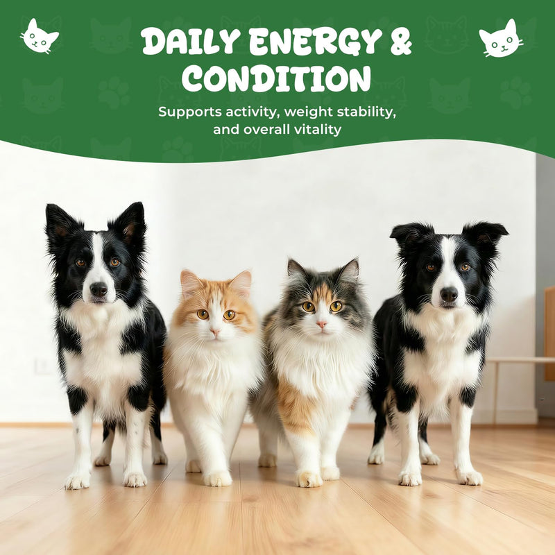 Thyroid Support for Dogs & Cats, Herbal Appetite Stimulant & Metabolism Support Drops with Bladderwrack, Astragalus & Nettle Leaf, Helps Maintain Healthy Weight, Energy & Daily Vitality, 2 fl oz