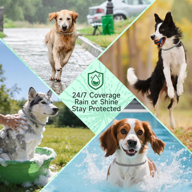 4 Pack Flea Collar for Dogs, 32 Months Flea and Tick Prevention for Dogs, Dog Flea and Tick Treatment, Adjustable Dog Flea Collars, Waterproof Dog Flea Treatment Collar, Flea Treatment for Dogs, Grey