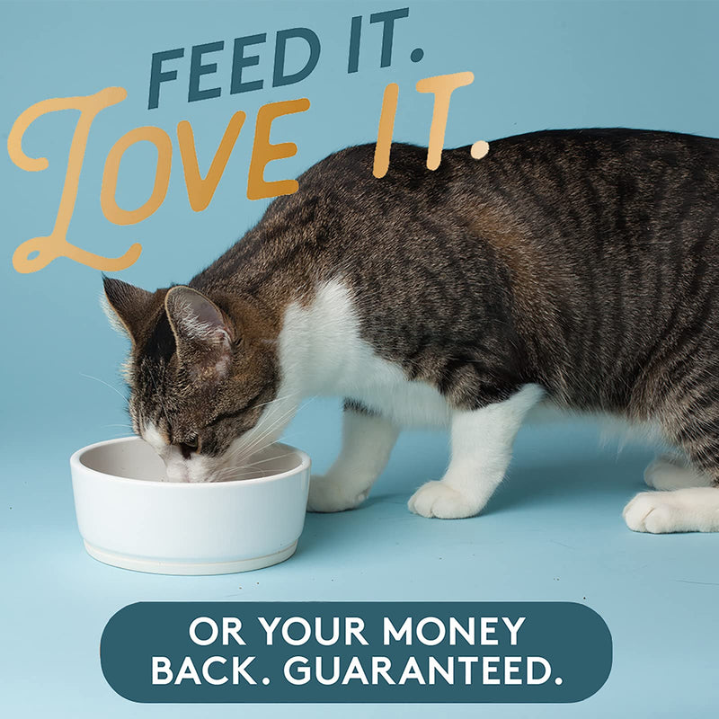 The Missing Link Original All Natural Veterinarian Formulated Superfood Cat Supplement Powder - Balanced Omega 3 & 6 for Healthy Skin & Coat, Immunity & Overall Health - Feline Formula - 6oz - PawsPlanet Australia