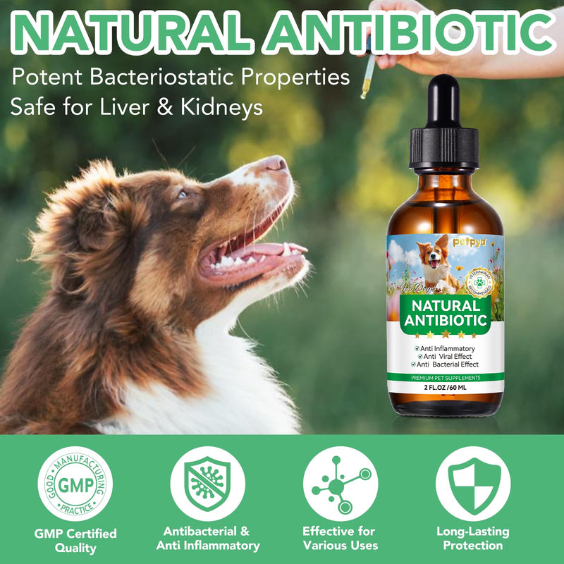 Antibiotics for Dogs, Natural Antibiotics for Dogs, Dog Antibiotics for Infection Supports Immune & Dogs Allergy Relief, Dog Multivitamin UTI Drops Natural Supplement for All Ages & Breeds 1PCS