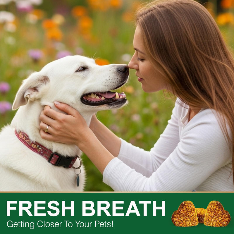 200 Chew No Poo Chews for Dogs-Coprophagia Stool Eating Deterrent-Stop Eating Poop for Canine- Dogs Poop Eat Deterrent Supplement with Probiotics&Digestive Enzymes Breath Aid Support-Chicken Chicken