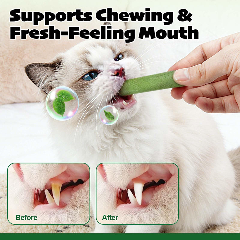 Cat Grass Treats & Cat Dental Treats for Indoor Cats, Made with Feline Grass & Chicken Breast, Healthy Temptation Cats Treat for Training, Snacking & Dental Care, Natural Kitten & Adult Kitty Biscuits